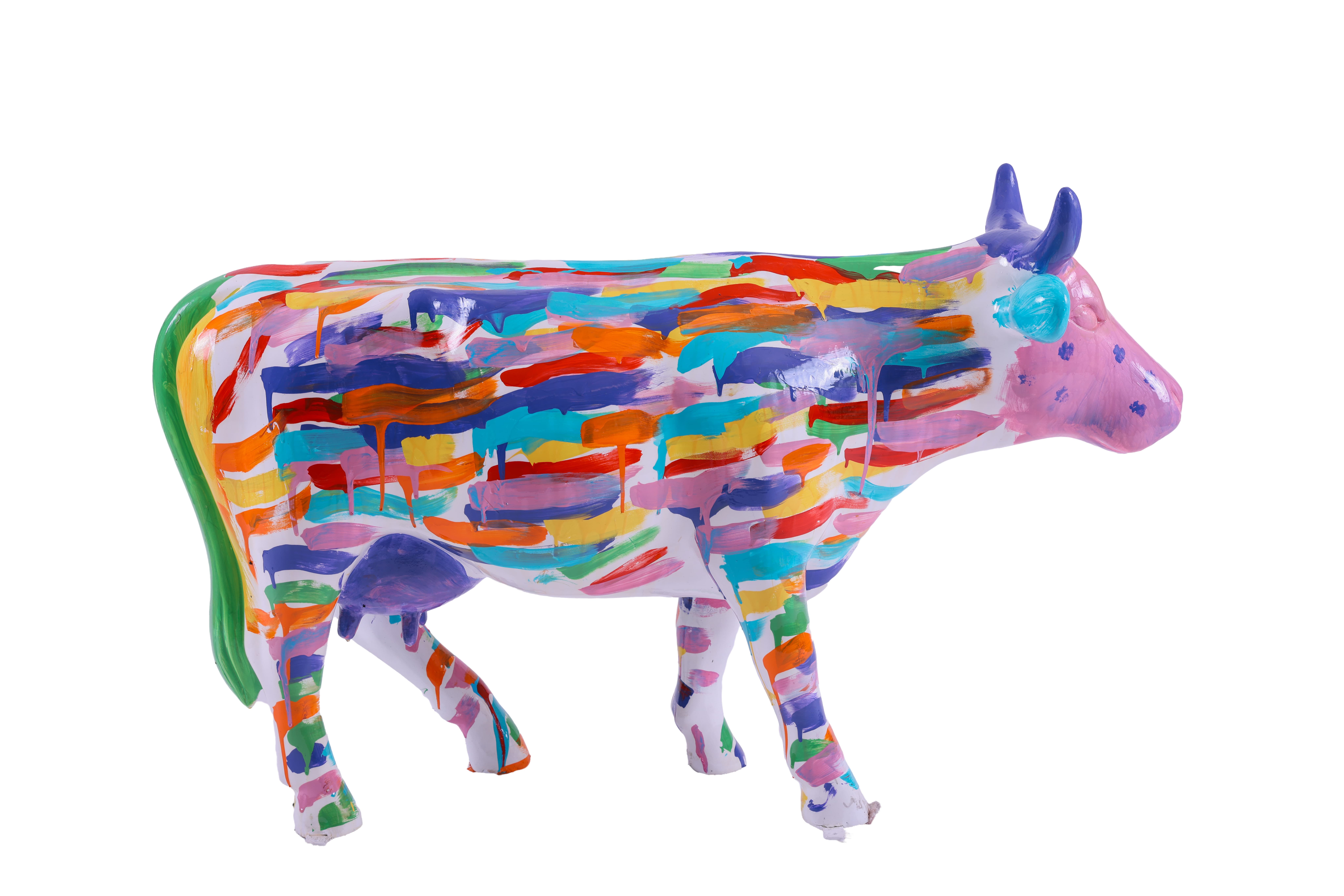 Allison Daschel - Rainbow Bright