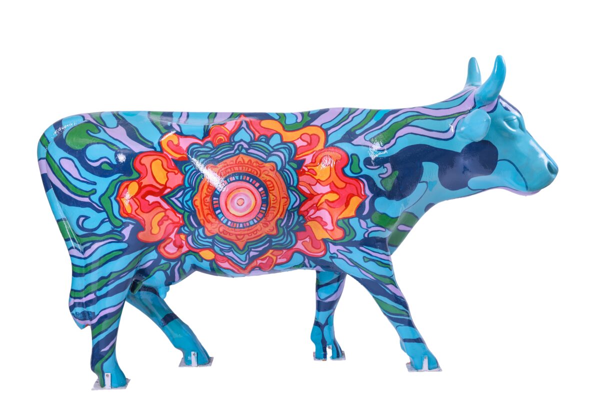 Amber Bushnell - Udderly Cowlerful