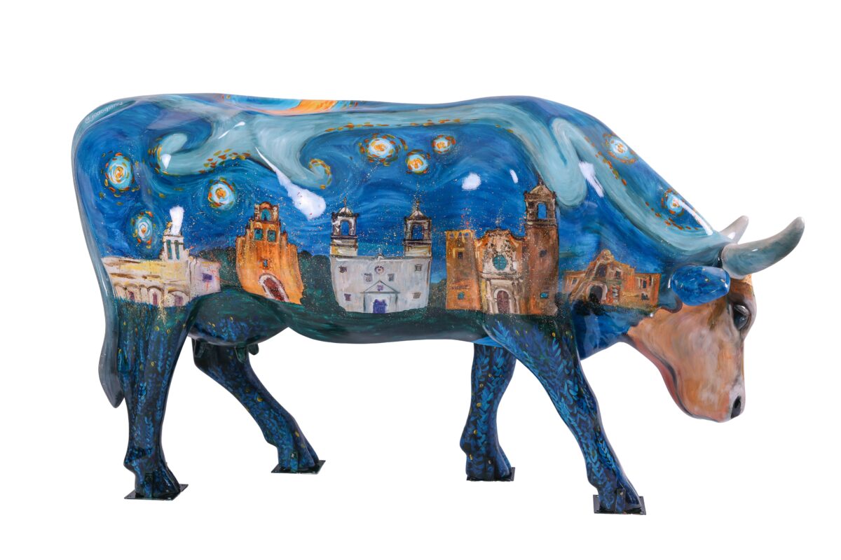 San Antonio Starry Night