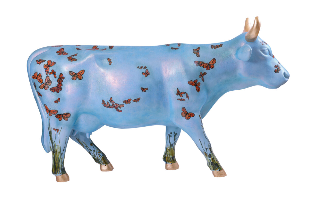 Lucy Peveto - MOOving Migration