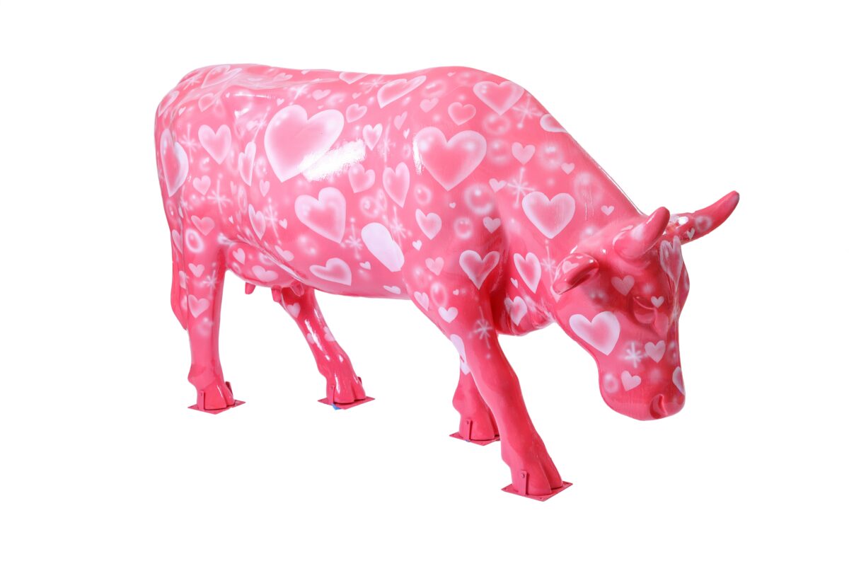 Rudy Herrera - Ingram Image Shots