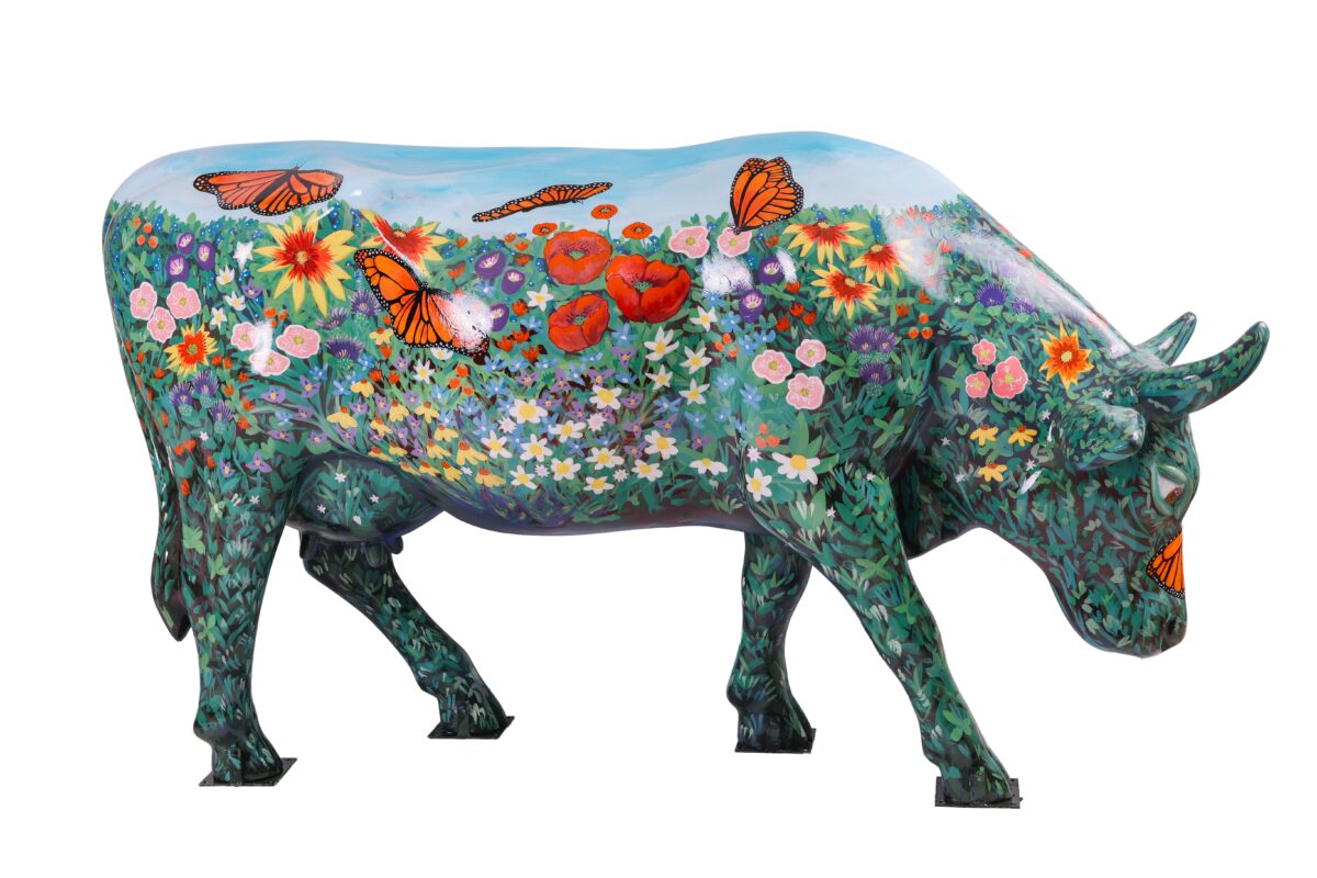 CHRISTUS Santa Rosa | Cows