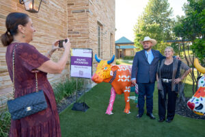 Celebrating CowParade San Antonio: Online auction now open to support CHRISTUS Children’s