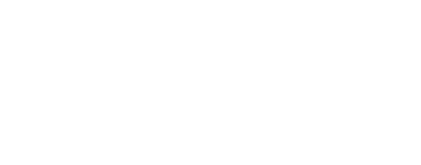 Children's Miracle Network Logo - White